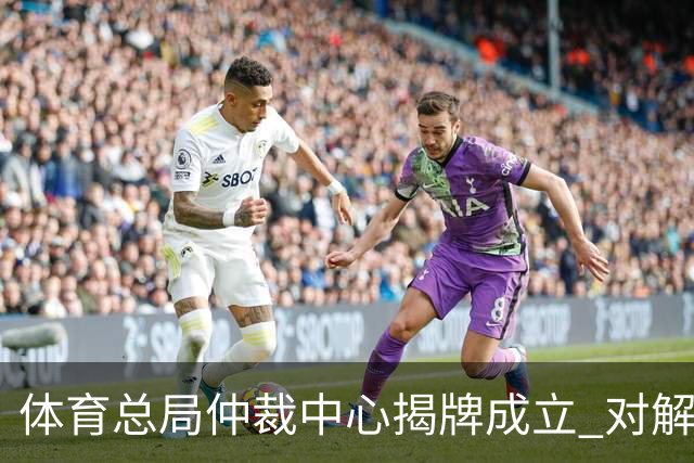 体育总局仲裁中心揭牌成立 对解决足球纠纷有益
